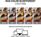 Rugshop Contemporary Abstract Circles Perfect for high Traffic Areas of Your Living Room,Bedroom,Home Office,Kitchen Area Rug 3'3" x 5'3" Multi