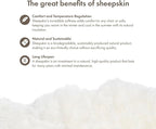 Sheepskin Long Hair 2x3 ft | Bedside Rugs for bedrooms, Sofa, Chair or The Dining Table | Each Sheepskin Rug is Unique and Created by Nature | Small Fluffy Rug in Color White