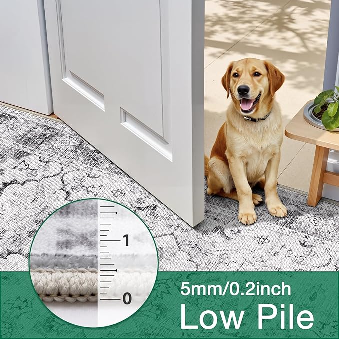 LUMI Washable Area Rug 5x8 for Living Room, Ultra Soft Stain Resistant Carpet with Non Slip Rubber Backing, Non-Shedding Low Pile Rugs for Bedroom, Dining Room, Indoor, Office