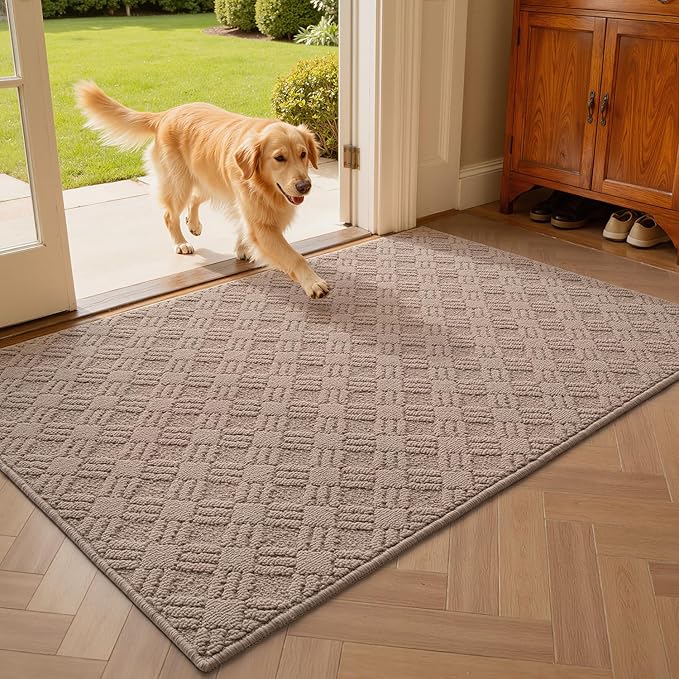 LUMI Indoor Door Mat, Absorbent Non-Slip Thin Doormat, Washable Door Mats, Woven Pattern Inside Floor Mat, Ideal for Entryway, Front Door, Home Decor, 36"x60", Woven Taupe
