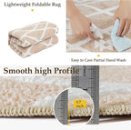 Beige 5x7 Area Rug Moroccan Shag Living Room Washable Carpet Soft Non Shedding Neutral Boho Plush Pile Modern Large Throw Rug for Kitchen Dining Room Bedroom Office
