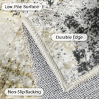 GENIMO Washable Area Rugs for Living Room, 10x14 Modern Non Slip Rugs, Low Pile Lightweight Soft Print Rug for Bedroom, Dining Room, Home Office, Washed Livid