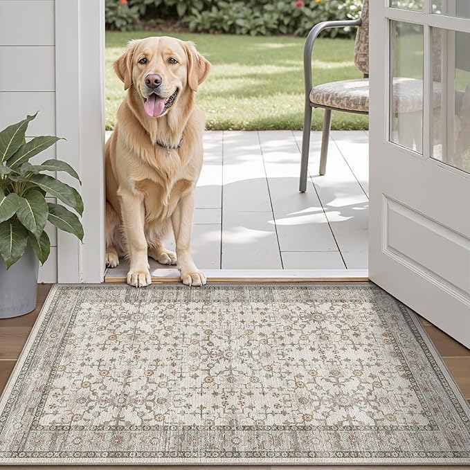 LUMI Indoor Thin Door Mat, 24x36 Washable Small Inside Doormat, Non Slip Low Pile Oriental Floor Carpet, Vintage Distressed Area Rug for Front Door,Entrance,Bedroom, Celadon