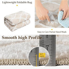 Ivory 4x6 Area Rug Moroccan Shag Office Washable Carpet Soft Non Shedding Neutral Boho Doormat Plush Pile Modern Throw Rug for Entryway Kitchen Dining Room Bedroom Living Room