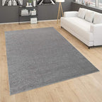 Paco Home Solid Area Rug in Anthracite Modern Plain Design, Size: 4'7" x 6'7"