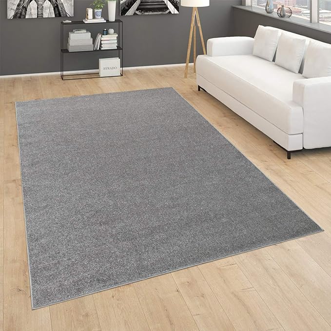 Paco Home Solid Area Rug in Anthracite Modern Plain Design, Size: 2'8" x 4'11"