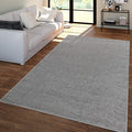 Paco Home Solid Area Rug in Anthracite Modern Plain Design, Size: 2'8" x 4'11"