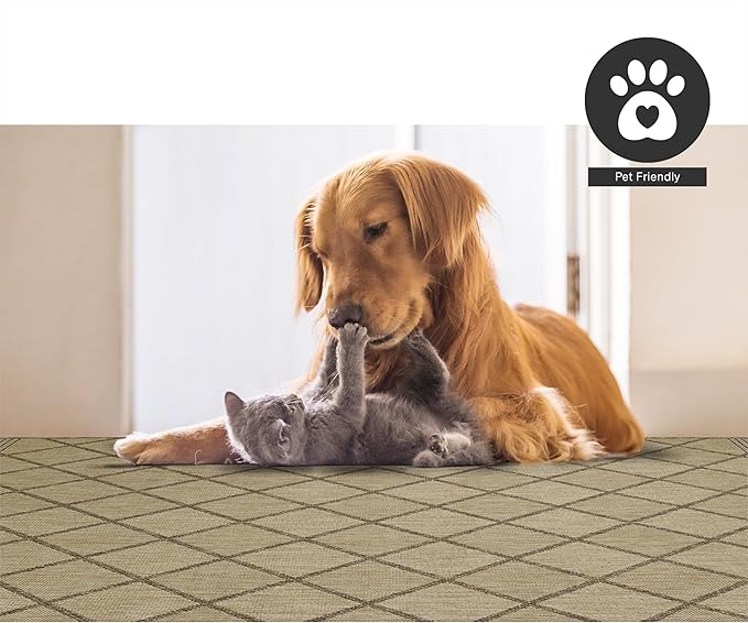 FH Home Flat Woven Outdoor Rug - Waterproof, Easy to Clean, Stain Resistant - Premium Polypropylene Yarn - Moroccan Geo Lattice - Patio,Deck,Porch,Balcony,Laundry - Tunis - Sand - 3ft 11 in x 5ft 6in