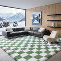 8x10 Area Rugs for Living Room Bedroom, Soft Fluffy Shaggy Bedside Rug, Indoor Floor Carpet for Kids Playroom, Dorms, Nursery Rooms, Home Decor (Green & White 8'x10')