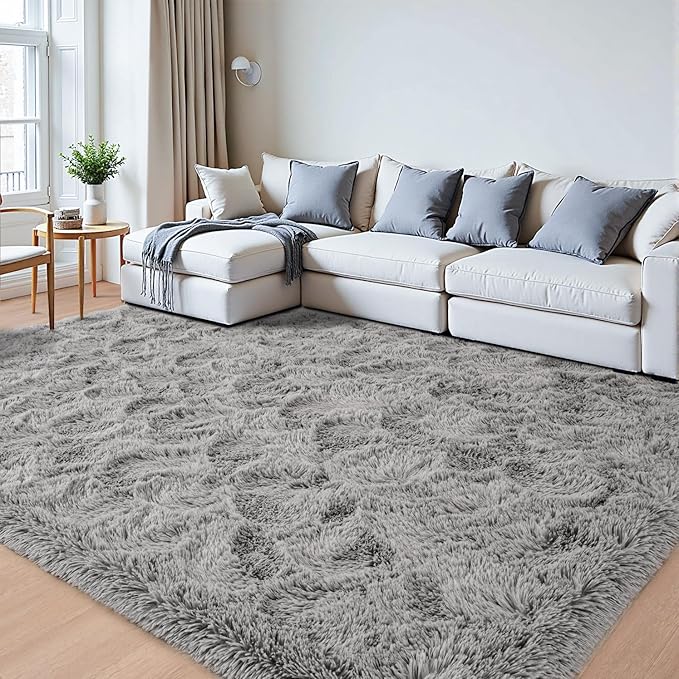 Beglad Fluffy Area Rugs 3 x 5 Feet, Modern Minimalist Style Shag Rugs, Non-Slip Indoor Carpet Soft Rugs for Bedroom, Living Room, Grey