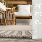 Nuloom Asha Light Grey/Ivory, 4' x 6', Casual, Striped Border, Soft and Cozy, High Traffic, Stain Resistant, Easy Clean, Durable Area Rug for Indoor/Outdoor Patio, Deck, Porch, Garden, Courtyard