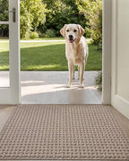 DEXI Front Entryway Door Mat Non Slip 32x48, Washable Entry Way Mats Inside Entrance Low Profile, Welcome Doormat Dirt Trapper for House Floor Home Porter Hall Backdoor Area, Light Taupe