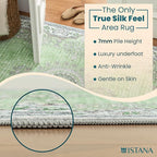 Istana 2x3 Area Rug - Green Boho Rugs for Living Room 2x3 - Foldable Small Rugs for Bedroom - Stain Resistant Washable Rug Non Slip - Eco-Friendly Area Rugs Indoor