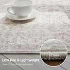 FMFUNCTEX Entryway Rug 2x3 Washable Beige Vintage Distressed Door Mat Non Slip Low Pile Indoor Carpet Soft Retro Floral Small Throw Area Rugs for Entry Way Entrance Bedroom Kitchen Bathroom Laundry