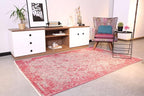 Alfa Rich 4x6 Pink Gray Reversible Washable Area Rugs for Living Room Bedroom Kitchen Decor Rug