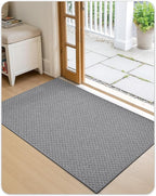 Color&Geometry Thin Front Door Mat Indoor Entrance Non Slip Rubber Backed, 24"x36" Indoor Door Mats for Entryway, Dirt Trapper Doormat, Washable Front Door Rugs, Dark Grey (Rolled-up NO Creases)