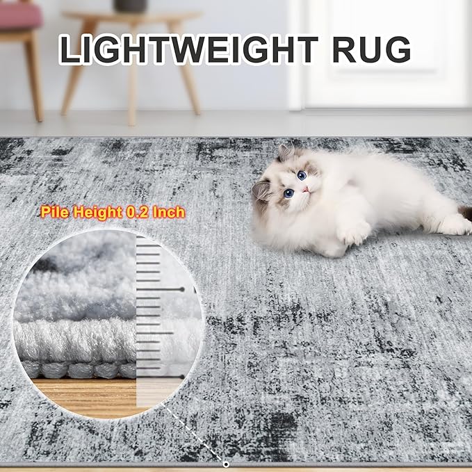 Area Rugs 9x12 Living Room - Washable Rug Modern Abstract Soft Large Neutral Non-Slip Carpet Indoor Floor Thin Carpets for Bedroom Dining Room Farmhouse Nursery Home Office Black