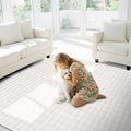 CAMILSON Modern White Non Slip Rug 4x6 Ultra Soft High Pile Area Rugs Non Skid Rubber Backing Durable & Easy to Clean Carpet for Living Room Bedroom Kids Room Indoor Use (4 x 6 White)