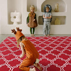 Amearea Fluffy Indoor Area Rug, Soft Trellis Moroccan Rugs for Bedroom, Shag Modern Area Rug for Living Room Kids Room Nursery, Easy Clean, Home Decor Low Pile Carpet, Wine Red 6x9 Feet