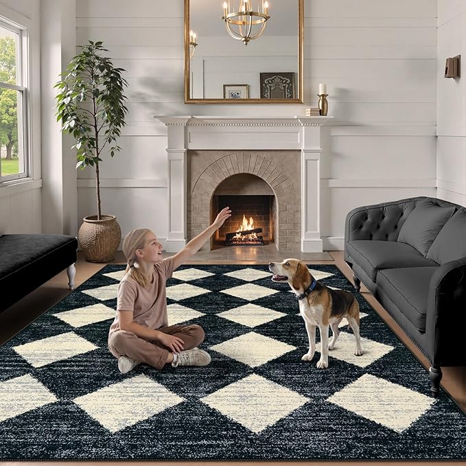 Lahome Moroccan Trellis Area Rug - 3x5 Washable Black Entry Rug Non Slip Living Room Mat, Distressed Lattice Soft Stain Resistance Indoor Throw Carpet for Front Door Foyer Bedroom Bathroom