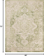 Nourison Home Astra Machine Washable Ivory Green 4' x 6' Area Rug - Easy Clean, Non Shedding, Bed Room, Living Room, Dining Room, Kitchen (4' x 6')