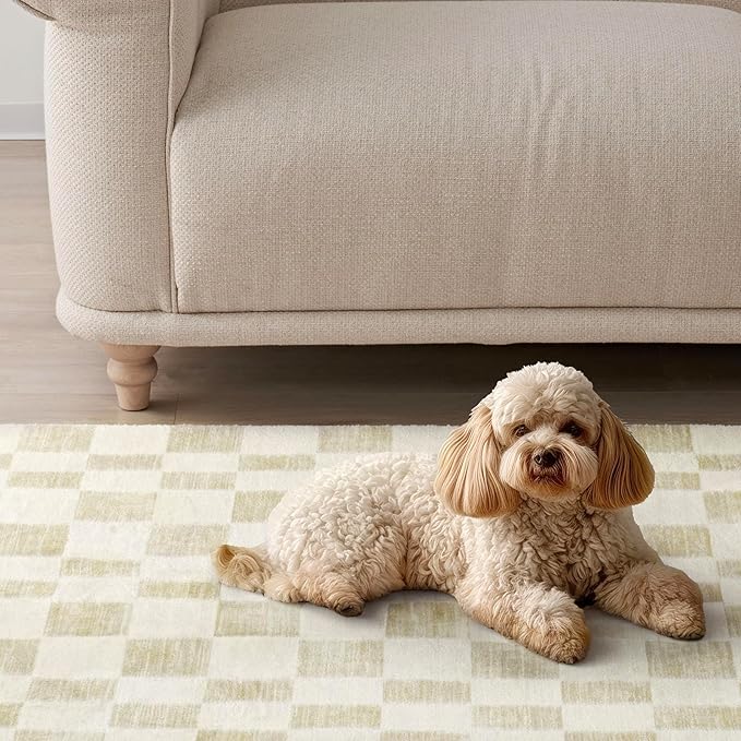 EVERGRACE Checkered Plaid Area Rug 5x7, Soft Faux Wool Rugs Washable Anti Slip Rugs Large Rug Carpet for Entryway Bedroom Living Room Hallway Kitchen Dining Room and Laundry Room, Beige