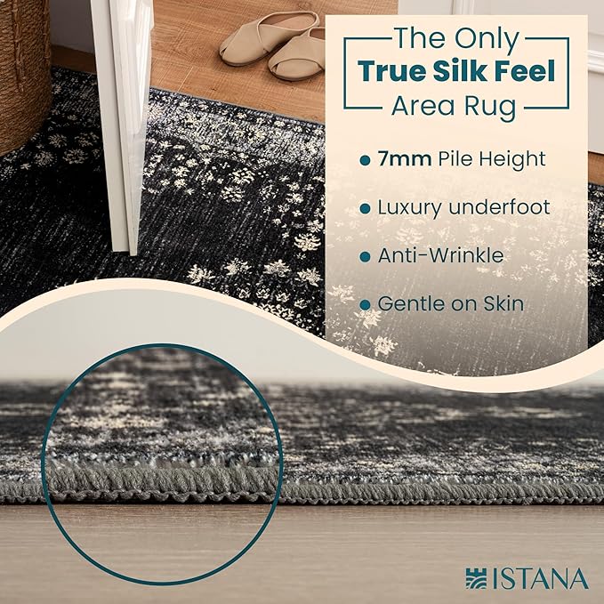 Istana 3x5 Area Rug - Black Modern Rugs for Living Room 3x5 - Foldable Rugs for Bedroom/Living Room Rug - Stain Resistant Washable Rug - Eco-Friendly Small Area Rugs