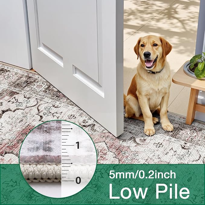 LUMI Washable Area Rug 8x10 for Living Room, Ultra Soft Stain Resistant Carpet with Non Slip Rubber Backing, Non-Shedding Low Pile Rugs for Bedroom, Dining Room, Indoor, Office