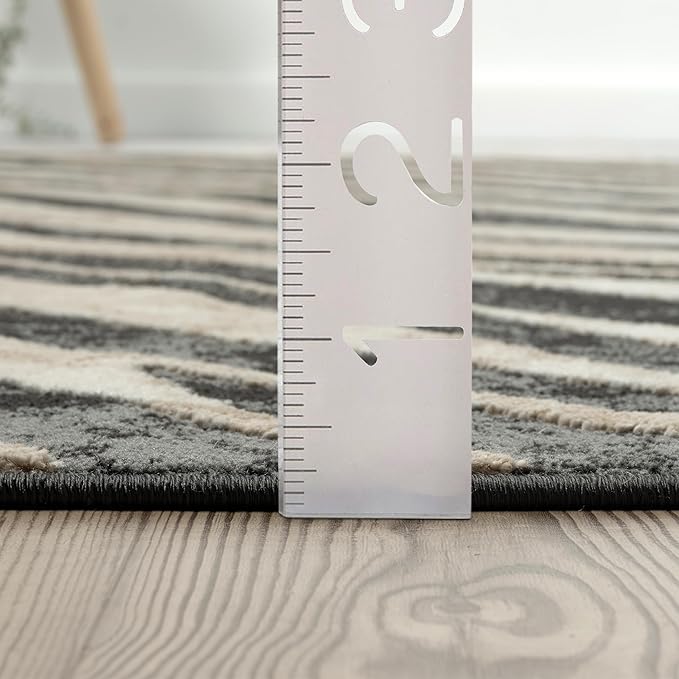 Abani Terra Area Rug for Living Room, Bedroom - Zebra Pattern - Black Cream - 5' x 8' - Durable & Easy to Clean