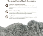 Sheepskin Long Hair 2x3 ft | Bedside Rugs for bedrooms, Sofa, Chair or The Dining Table | Each Sheepskin Rug is Unique and Created by Nature | Small Fluffy Rug in Color Light Grey