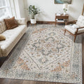 Tangsoo 3x5 Bedroom Rug, Washable Vintage Indoor, Area Rug Non Slip Accent Rug, Print Distressed Grey Carpet, Soft Low Pile for Living Room Dorm Bedroom Bedside Entryway Bathroom
