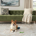 Nourison Home Astra Machine Washable Beige 9' x 12' Area Rug - Easy Clean, Non Shedding, Bed Room, Living Room, Dining Room, Kitchen (9' x 12')