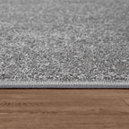 Paco Home Solid Area Rug in Anthracite Modern Plain Design, Size: 4'7" x 6'7"