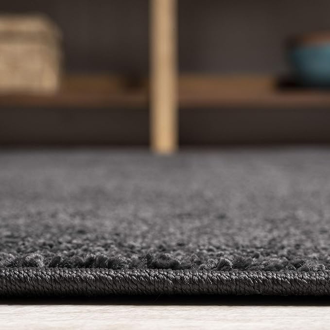 JONATHAN Y Haze Solid Low-Pile Black Indoor Area Rug 3x5, Coastal,Bohemian,Minimalist,Classic, Easy-Cleaning for Living Room,Bedroom,Kitchen,Pet Friendly,Non-Shedding (SEU100I-3)