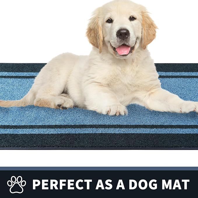 PURRUGS Dirt Trapping Door Mat 24" x 36", Non-Slip/Skid Machine Washable Entryway Rug, Shoes Scraper, Area Rug, Super Absorbent Welcome Mat for Muddy Wet Shoes and Paws, Light Blue & Navy