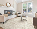 6x9 Area Rug Living Room Rugs - Washable Neutral Modern Abstract Soft Thin Rug Indoor Floor No Slip Rug Carpet for Bedroom Under Dining Table Home Office Decor - Beige/Brown