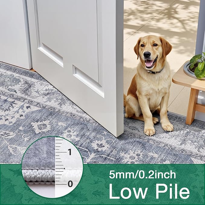 LUMI Washable Area Rug 5x8 for Living Room, Ultra Soft Stain Resistant Carpet with Non Slip Rubber Backing, Non-Shedding Low Pile Rugs for Bedroom, Dining Room, Indoor, Office
