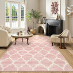Lahome Nursery Rug 5x7 Area Rugs for Living Room,Washable Pink Rugs for Bedroom Girls,Soft Low-Pile Indoor Floor Boho Carpet for Kids Playroom Dorm