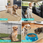 OLANLY Dog Door Mat for Muddy Paws 70x35, Absorbs Moisture and Dirt, Absorbent Non-Slip Washable Doormat, Quick Dry Chenille Mud Mat for Dogs, Entry Indoor Entryway Carpet for Inside Floor, Beige