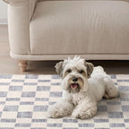 EVERGRACE Checkered Plaid Area Rug 2x3, Soft Fuzzy Faux Wool Rugs Washable Anti Slip Rugs Small Rug Carpet for Entryway Bedroom Living Room Hallway Kitchen Dining Room and Laundry Room, Light Gray