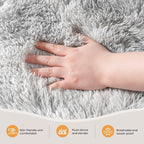 Zentavio Area Rugs for Living Room Small Carpet for Bedroom 3x5 Bedside Washable Soft Fluffy Shag Aesthetic Plush High Pile Throw Rug for Nursery Kids Room Dorm Room