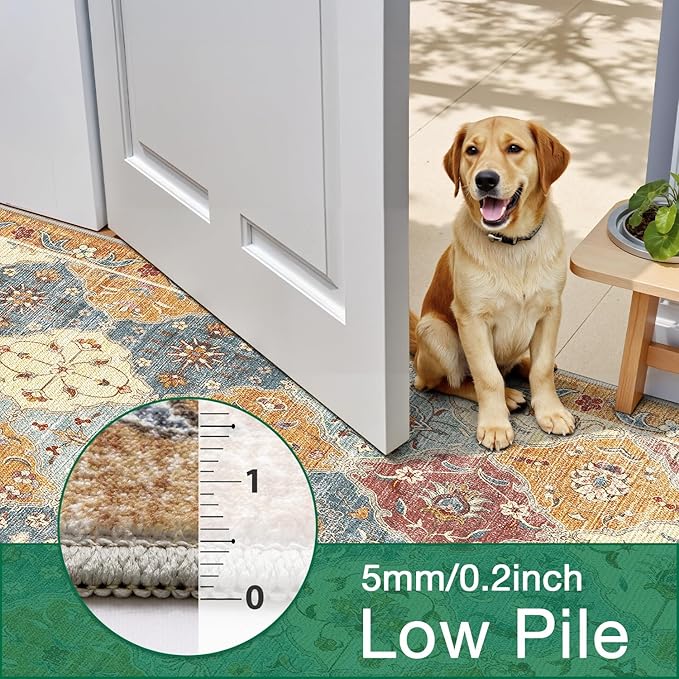 LUMI Washable Area Rug 8x10 for Living Room, Ultra Soft Stain Resistant Carpet with Non Slip Rubber Backing, Non-Shedding Low Pile Rugs for Bedroom, Dining Room, Indoor, Office