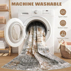 Area Rug Living Room Rugs - 4x6 Abstract Small Soft Indoor Washable Rug Neutral Modern Low Pile Carpet for Bedroom Dining Room Farmhouse Home Office - Grey Brown