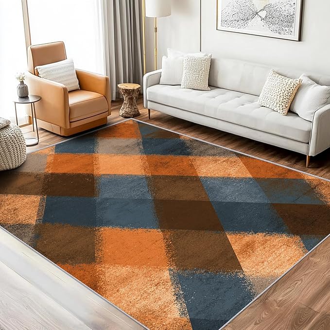 Checkered Geometric Rug, Washable 4x5 Rug for Living Room, Modern Abstract Patterned Indoor Carpet, Checkered Geometric Decor for Home, Bedroom, Soft Non Slip Thin Design FER45