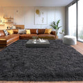 Upgrade Non-Slip Plush Rugs for Living Room, Soft Shaggy Carpets for Living Room, Fuzzy Rugs for Kids' Room, Perfect Decor for Modern Home Charcoal 6x9 Feet