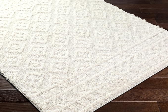 Hauteloom Tilos Moroccan Farmhouse Living Room Bedroom Nursery Shag Area Rug - Shaggy Carpet - Trellis Pattern - High Plush Pile - Cream, Pink, Beige - 5'3" x 7'
