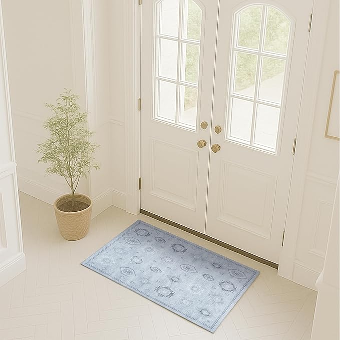 Turkish Rug. Washable Vintage Oriental Antique Inspired Traditional Doormat Small Modern Area Rugs Luxury Entryway Entry Bedroom Bathroom Kitchen (394GG, 2' x 3')