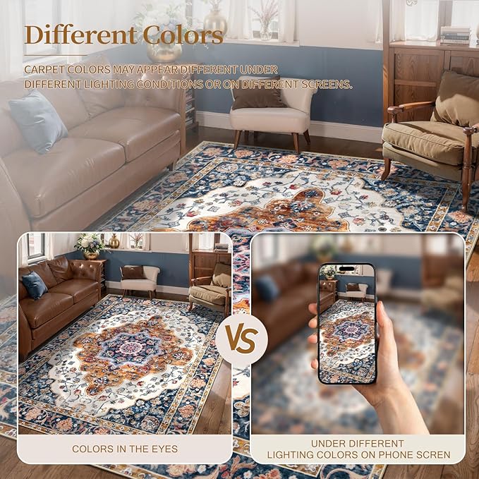 Ciicool 3x5 Area Rug, Washable Boho Rugs for Bedroom Non-Slip Indoor Rugs Large Low-Pile Mat Floor Carpet Vintage Rug for Kitchen Living Room Office Dinning Foyer Decor