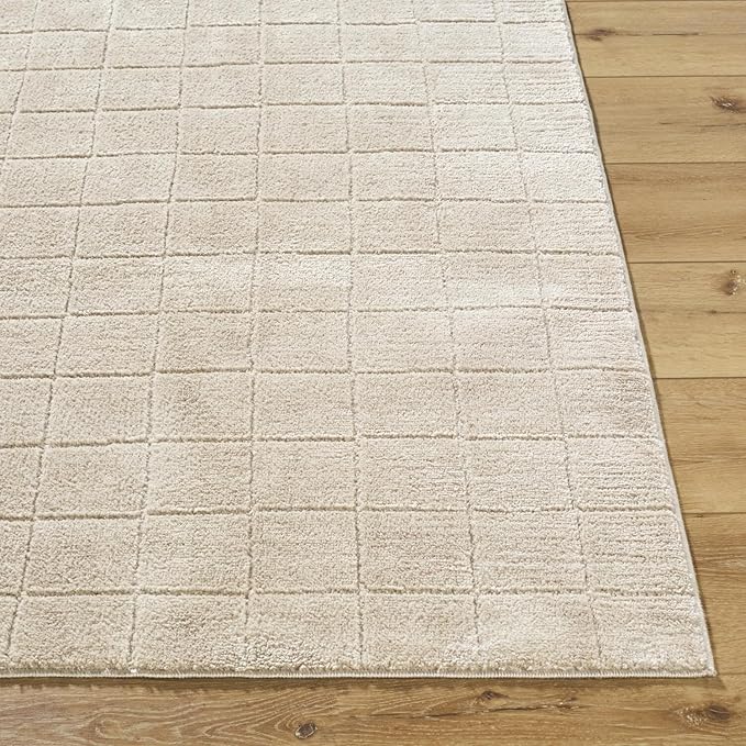Livabliss x Our PNW Home Cascade Minimalist Grid Area Rug, 2'7" x 12', Light Beige