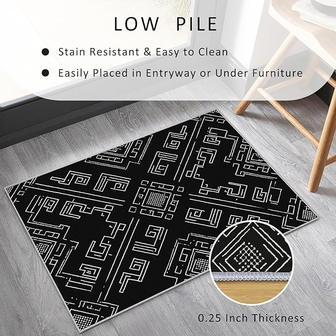 Geometric Rug, Washable 5x8 Rug for Living Room, Black and White Patterned Indoor Carpet, Modern Geometric Decor for Home, Bedroom, Soft Non Slip Thin Design FER19
